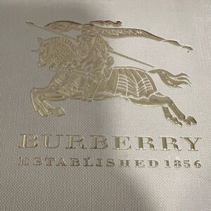 Burberry Watch Grey White *Comes from Pet Friendly Home